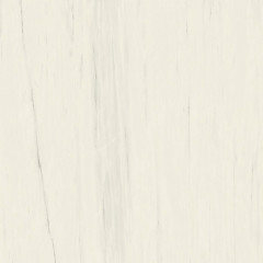 Керамогранит Marvel Bianco Dolomite 160x160RT Lappato (AO53)