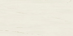 Керамогранит Marvel Bianco Dolomite 60x120 (A21C)