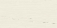 Керамогранит Marvel Bianco Dolomite 60x120 Lappato (A21K)