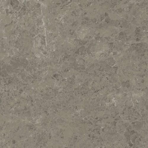 Керамогранит Marvel Meraviglia Grigio Elegante 120x120 Velvet (AJIL)