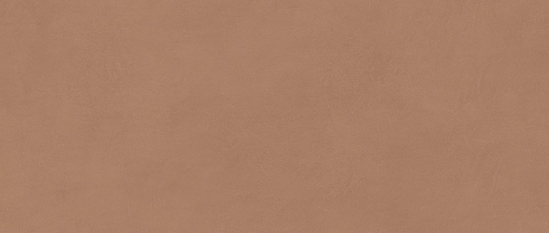Плитка Boost Expression Sienna 50x120