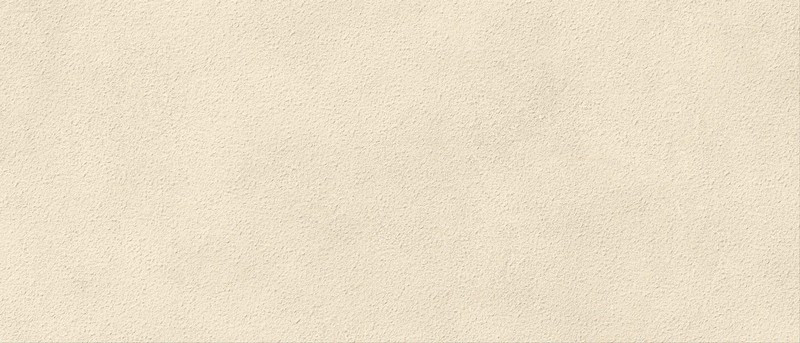 Плитка Boost Expression Grain Shell 50x120