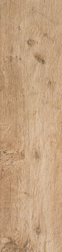 Керамогранит Axi Golden Oak 22.5x90 R10 (AS3C)