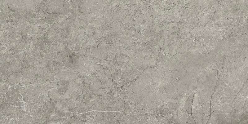 Керамогранит Marvel Meraviglia Silver Majestic 30x60 Lapp. (AJJH)