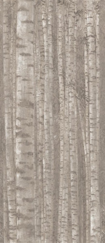 Декор Boost Pro Grove 120x278 (A0LW)