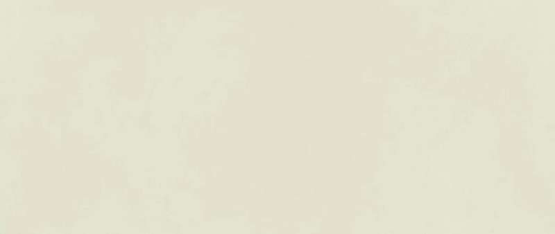 Плитка Boost Color Mint 50x120 (AKM5)